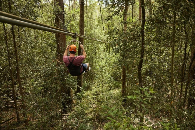 Treetops Adventure Park